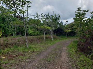 Finca de 20 Hectáreas con casa en venta en Penonomé, Chiguirí Arriba