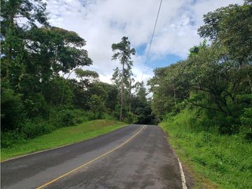 Finca de 20 Hectáreas con casa en venta en Penonomé, Chiguirí Arriba