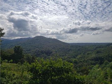 Finca de 20 Hectáreas con casa en venta en Penonomé, Chiguirí Arriba