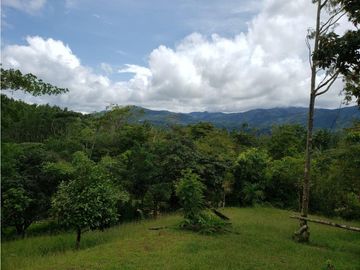 Finca de 20 Hectáreas con casa en venta en Penonomé, Chiguirí Arriba