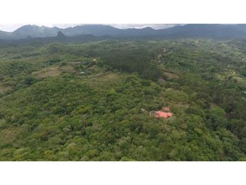 Finca de 20 Hectáreas con casa en venta en Penonomé, Chiguirí Arriba