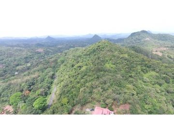 Finca de 20 Hectáreas con casa en venta en Penonomé, Chiguirí Arriba