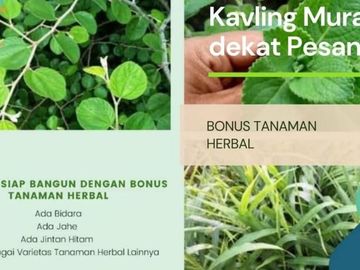 Di Jual Tanah Murah DP 5 Juta saja di Maros