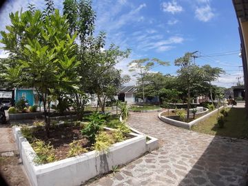 Rumah minimalis model eropa yang elegant