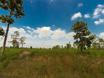 36 rai highland Trakan Ubon Ratchathani Thailand
