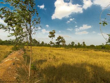 36 rai highland Trakan Ubon Ratchathani Thailand