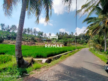 DIJUAL TANAH KEBUN SAWAH PRODUKTIF – DS.GUMUK, LICIN- BANYUWANGI