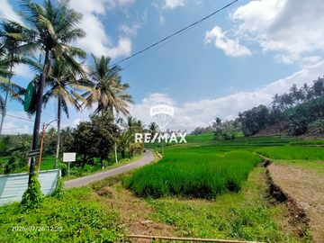 DIJUAL TANAH KEBUN SAWAH PRODUKTIF – DS.GUMUK, LICIN- BANYUWANGI