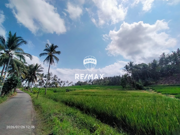 DIJUAL TANAH KEBUN SAWAH PRODUKTIF – DS.GUMUK, LICIN- BANYUWANGI