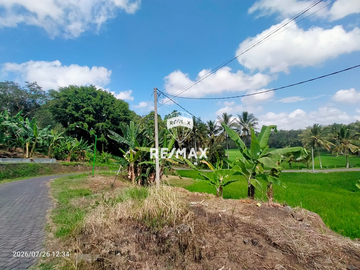 DIJUAL TANAH KEBUN SAWAH PRODUKTIF – DS.GUMUK, LICIN- BANYUWANGI