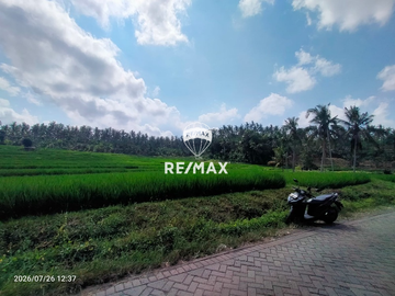 DIJUAL TANAH KEBUN SAWAH PRODUKTIF – DS.GUMUK, LICIN- BANYUWANGI