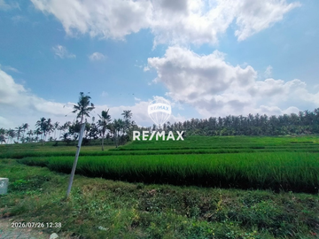 DIJUAL TANAH KEBUN SAWAH PRODUKTIF – DS.GUMUK, LICIN- BANYUWANGI