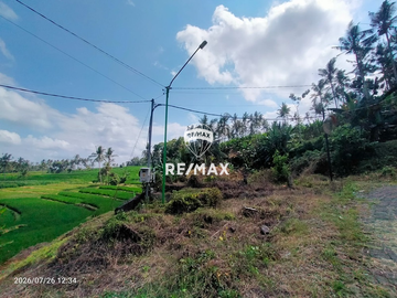 DIJUAL TANAH KEBUN SAWAH PRODUKTIF – DS.GUMUK, LICIN- BANYUWANGI