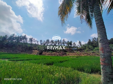 DIJUAL TANAH KEBUN SAWAH PRODUKTIF – DS.GUMUK, LICIN- BANYUWANGI