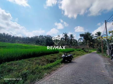 DIJUAL TANAH KEBUN SAWAH PRODUKTIF – DS.GUMUK, LICIN- BANYUWANGI
