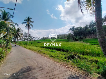 DIJUAL TANAH KEBUN SAWAH PRODUKTIF – DS.GUMUK, LICIN- BANYUWANGI