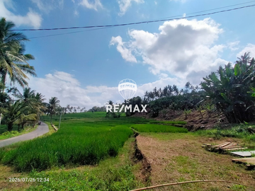 DIJUAL TANAH KEBUN SAWAH PRODUKTIF – DS.GUMUK, LICIN- BANYUWANGI