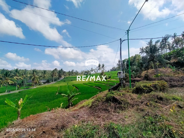 DIJUAL TANAH KEBUN SAWAH PRODUKTIF – DS.GUMUK, LICIN- BANYUWANGI