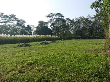 RUMAH MURAH MALANG HARGA 300 JUTAAN