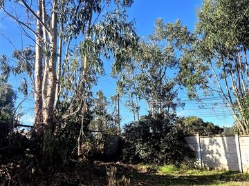 Sitio en Condominio en Algarrobo
