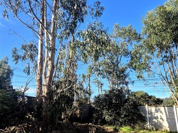 Sitio en Condominio en Algarrobo