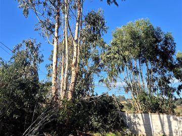 Sitio en Condominio en Algarrobo