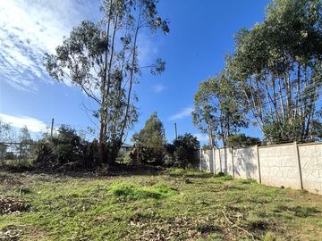 Sitio en Condominio en Algarrobo