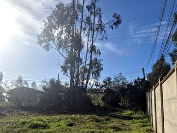 Sitio en Condominio en Algarrobo