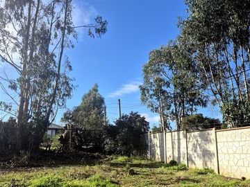 Sitio en Condominio en Algarrobo