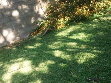 Fisherton Permutamos Vendemos  Casa por Departamento