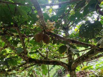 finca en venta en km 27. Cod V14395