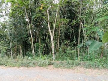 Tanah Pekarangan Dijual Lokasi Jomboran, Turi