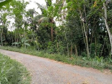 Tanah Pekarangan Dijual Lokasi Jomboran, Turi