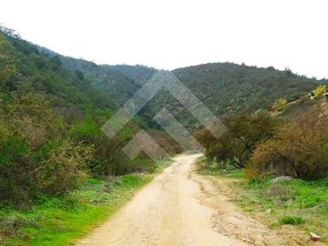 Parcela en venta en Curacaví