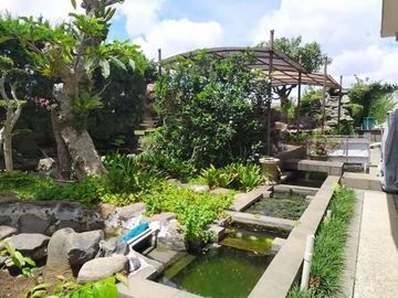 Rumah Sejuk Dekat Sukajadi, Setiabudi dan Gegerkalong