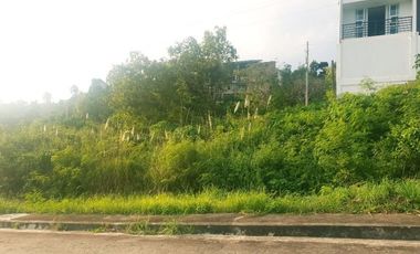 Overlooking 150 Sqm Lot for Sale in Vista Grande Talisay Cebu City with Seaview