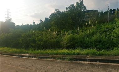 Overlooking 150 Sqm Lot for Sale in Vista Grande Talisay Cebu City with Seaview