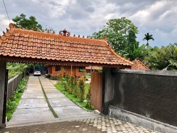 Dijual Rumah Joglo Siap Huni di Turi, Sleman , View Merapi Udara Sejuk Dan Asri AdA Kolam Renang , Bikin Hati Tenang