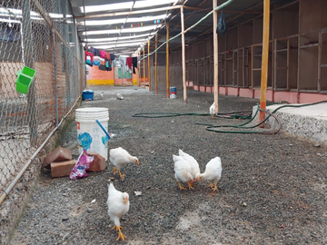 TERRENO 30,000 M2