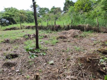 Se Vende Lote en los Anastacios