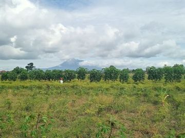 Tanah Termurah Hanya di Barat Kota Klaten Lokasi Sangat Strategis.