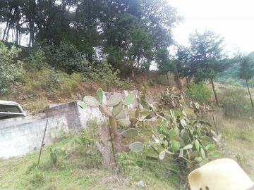 VENTA DE BONITO TERRENO PARA VIVIENDA CON EXCELENTE VISTA PANORÁMICA, NUEVO SAN JOAQUÍN, MUNICIPIO DE SAN JOAQUÍN.