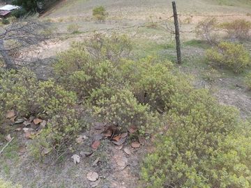 VENTA DE BONITO TERRENO PARA VIVIENDA CON EXCELENTE VISTA PANORÁMICA, NUEVO SAN JOAQUÍN, MUNICIPIO DE SAN JOAQUÍN.