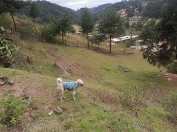 VENTA DE BONITO TERRENO PARA VIVIENDA CON EXCELENTE VISTA PANORÁMICA, NUEVO SAN JOAQUÍN, MUNICIPIO DE SAN JOAQUÍN.