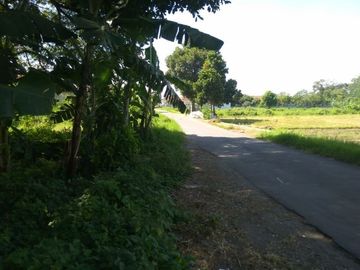 TANAH PURWOMARTANI, HARGA NEGO, LOKASI STRATEGIS RAMAI PENDUDUK