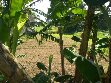TANAH PURWOMARTANI, HARGA NEGO, LOKASI STRATEGIS RAMAI PENDUDUK