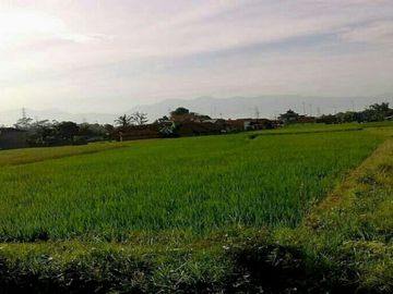 JUAL TANAH STRATEGIS DI JATINANGOR DEKAT UNPAD