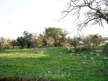 Parcelas En San Fernando Rol Propio Pocas Unidades oferta