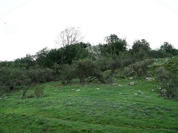 Parcelas En San Fernando Rol Propio Pocas Unidades oferta