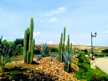 TERRENO RESIDENCIAL CAMPESTRE DE OPORTUNIDAD ! A 10 MIN DE GUANAJUATO CAPITAL